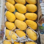 কাটিমন আম
