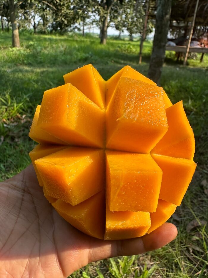 গোবিন্দভোগ - Image 3