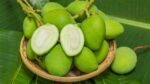 কাঁচা মিঠা আম